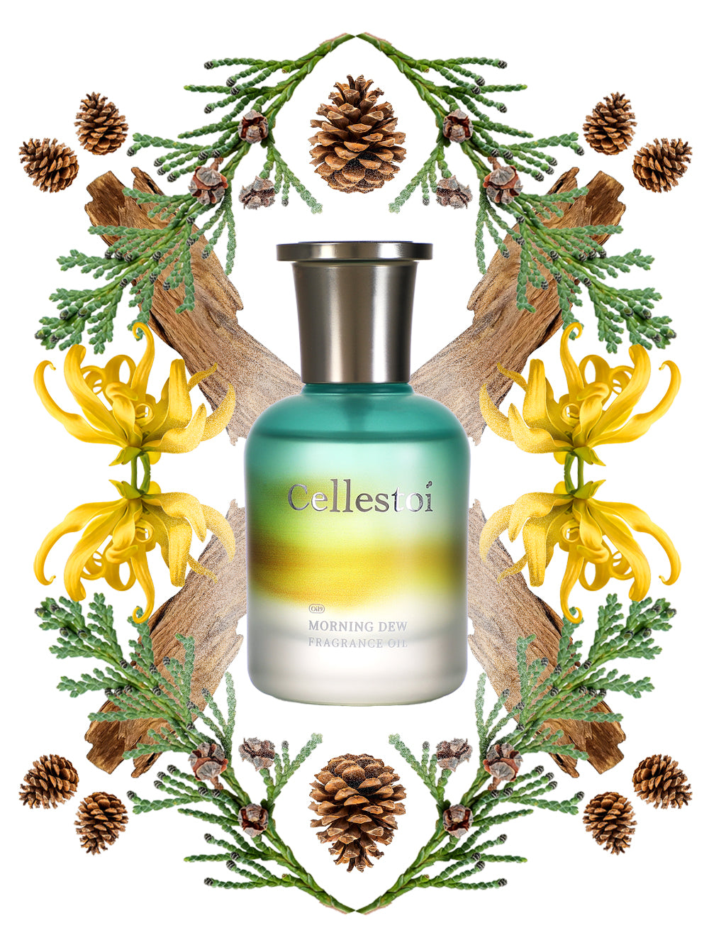 Cellestoi Morning Dew Fragrance Oil 40ml | Clean &amp; Crisp | Floral Green Woody | Alcohol-Free | 24h Long Lasting