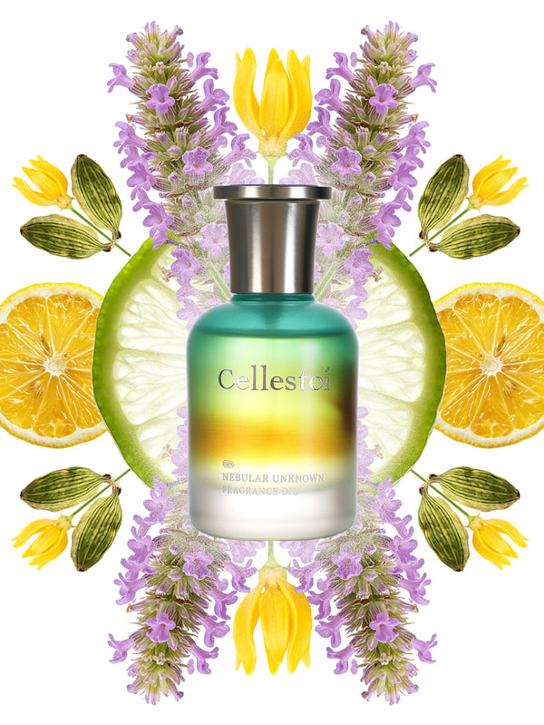 Cellestoi Nebular Unknown Fragrance Oil 40ml | Citrus Woody Floral | Fresh & Polished | Alcohol-Free